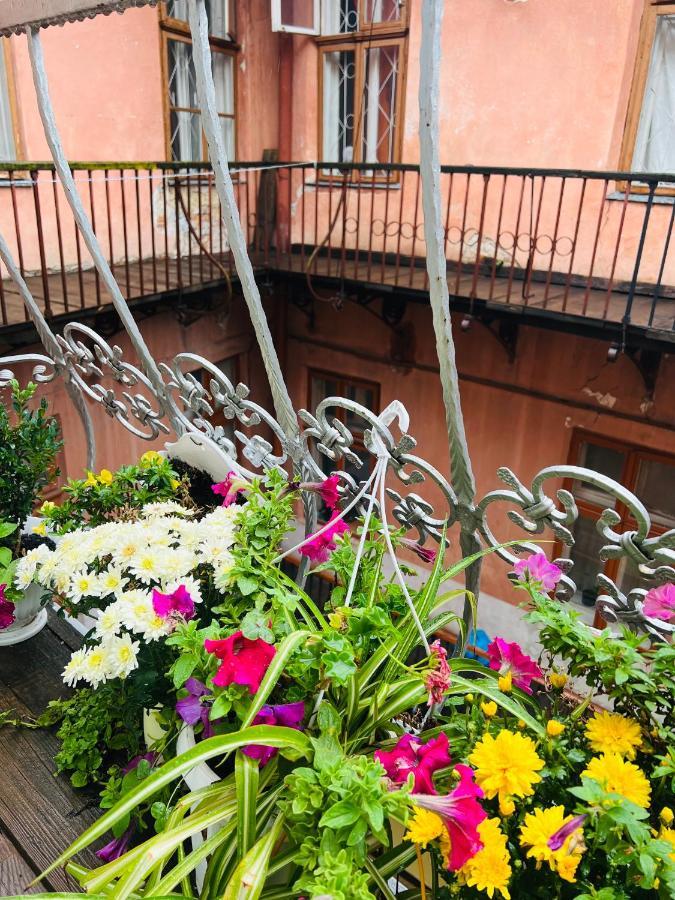 Apartment In The City Center Mini Ивано-Франковск Экстерьер фото
