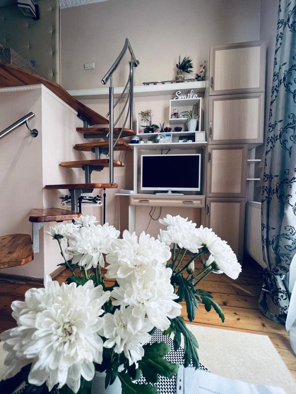 Apartment In The City Center Mini Ивано-Франковск Экстерьер фото